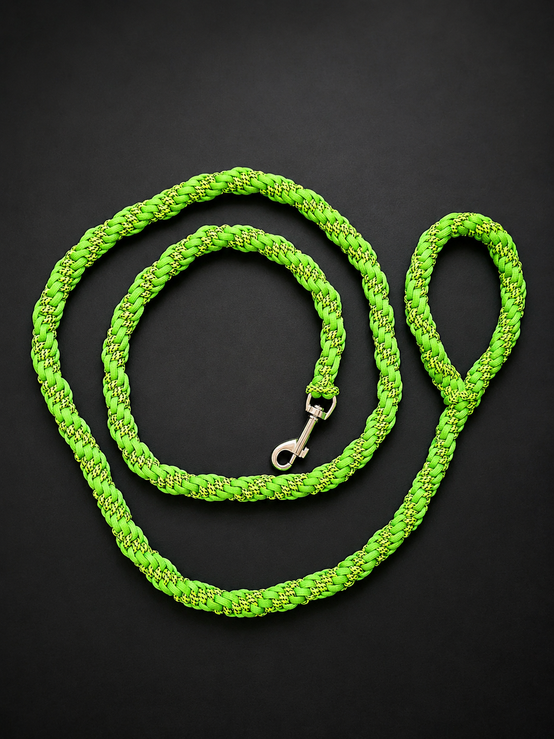 Dog Leashes