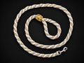 Bold and Bright  Rainbow Handmade Paracord Dog Leash